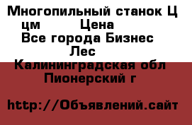  Многопильный станок Ц6 (цм-200) › Цена ­ 550 000 - Все города Бизнес » Лес   . Калининградская обл.,Пионерский г.